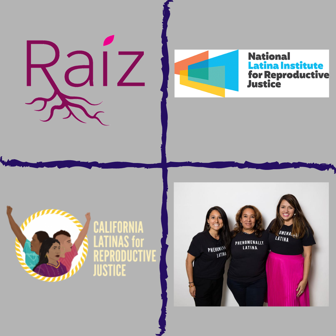 Logos and photos from four Latinx groups fighting for reproductive health. 