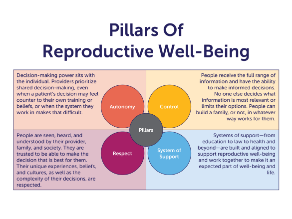 The four pillars are autonomy, control, respect, and system of support. Each is connected and has a definition next to it.